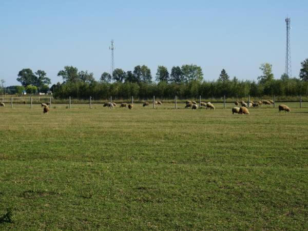 Na Wsi-agroturystyka Holiday home Czyze